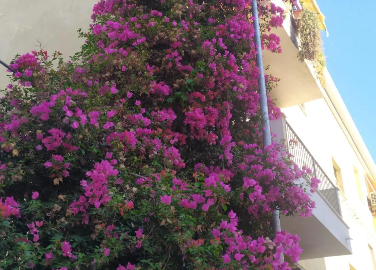 Lormar House Apartment Oristano Italy